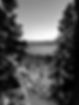 Berberini Aesthetics in Lake Tahoe